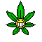 :ganja2: