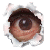 :podgladacz: