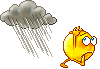 :rainrun: