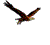 :rbs2: