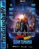 Ant-Man i Osa: Kwantomania / Ant-Man and the Wasp: Quantumania (2023) [480p] [WEB-DL] [XviD] [DD5.1] [Dubbing PL]
